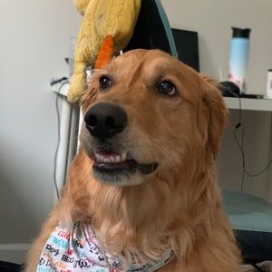 Meet your Posher, Phuong